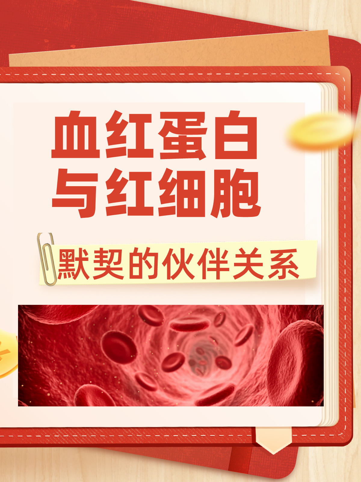 血红蛋白与红细胞：默契的伙伴关系