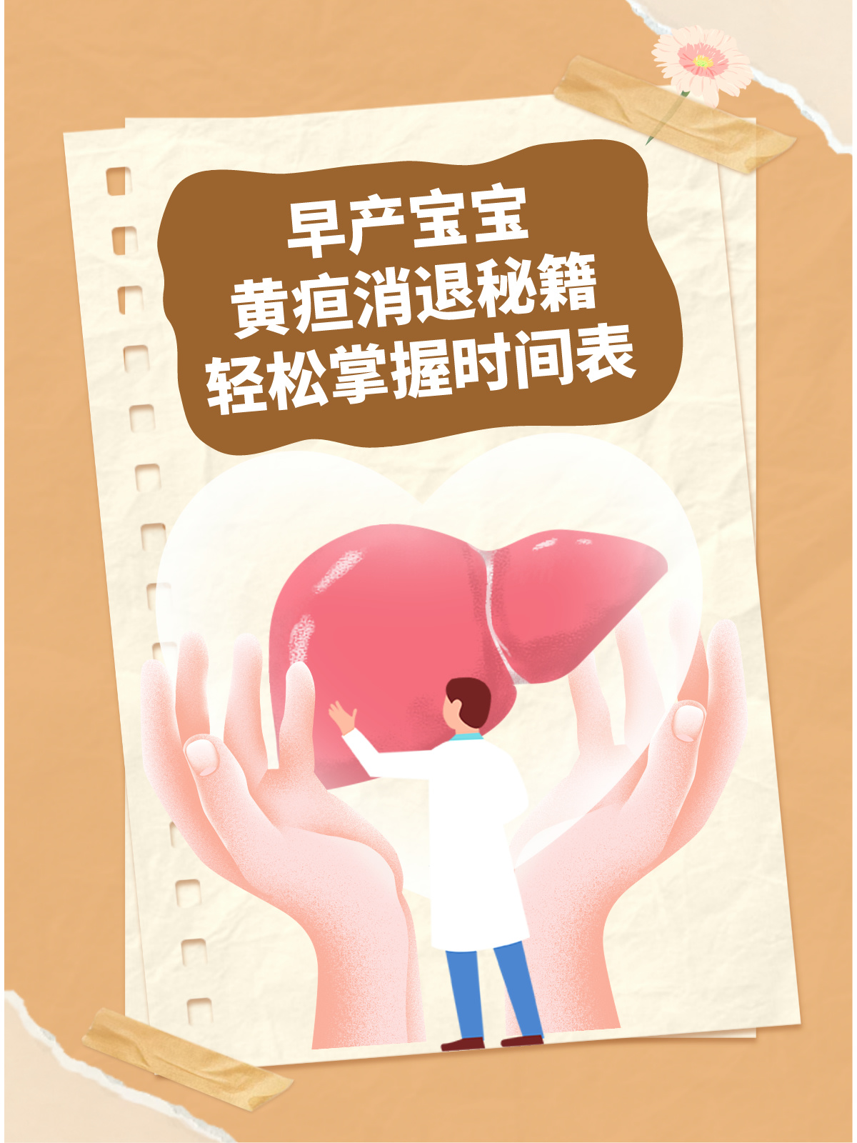 早产宝宝黄疸消退秘籍，轻松掌握时间表