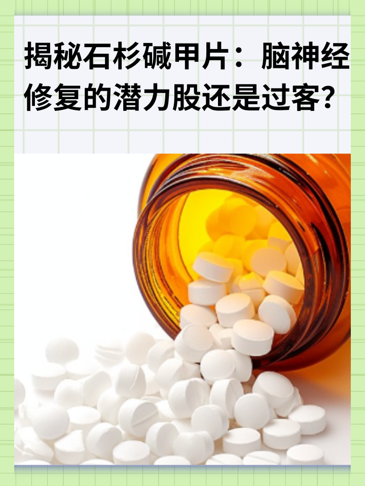 揭秘石杉碱甲片：脑神经修复的潜力股还是过客？