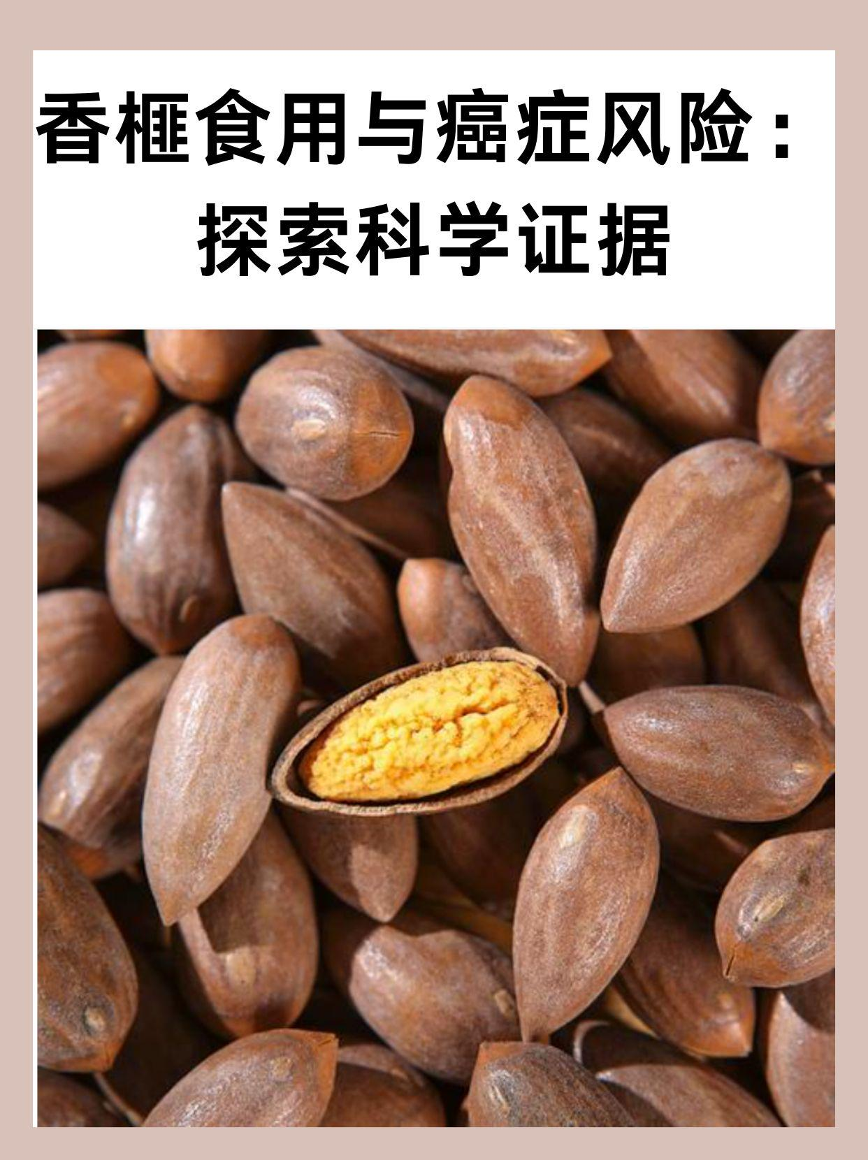 香榧食用与癌症风险：探索科学证据