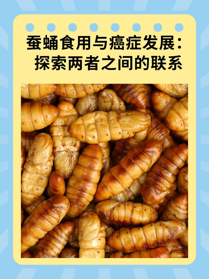 蚕蛹食用与癌症发展：探索两者之间的联系